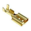 007  173010 TERMINAL PALA HEMBRA DE BCE 436 <<<x 100>>>