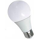 009 12883 LAMP LED A50 7W/83=50W O