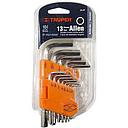 058 JUEGO DE 13 LLAVES ALLEM TRUPER