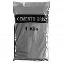 077 3001G CEMENTO GRIS X 1KG