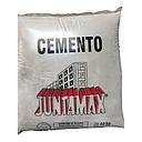 077 3010G RAPISEC CEMENTO GRIS X 10 KG